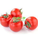 [菜小梦]有机蔬菜 新鲜蔬菜西红柿 同城配送番茄酸甜可口 500克