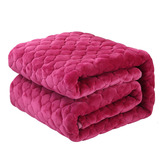 加厚冬季珊瑚绒毛毯防滑法莱绒毯子单人双层夹棉保暖床单单件双人