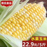 蒋氏食品_云南水果玉米5斤 现摘甜玉米新鲜玉米棒农家绿色食品