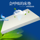 泰国发货包邮到家SEP纯天然乳胶床垫进口15cm健康防螨透气