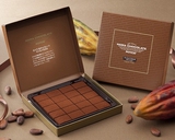 现货新日期 ROYCE生巧克力 日本代购进口零食 淡可可巧克力