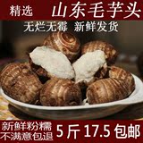 2015山东农家种植新鲜有机小毛芋头 芋艿芋头香芋 5斤包邮