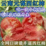 6斤包邮 云南新鲜西红柿 有机番茄 无公害绿色蔬菜 生鲜农家500g