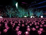 香港玫瑰花灯同款 LED户外仿真玫瑰花海创意灯 带杆装饰草坪灯