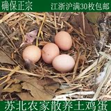 正宗苏北农家少量散养 土鸡蛋  草鸡蛋 笨鸡蛋新鲜鸡蛋特价促销