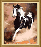 数字油画diy包邮特价 客厅动物猛兽风景手绘画 黑白马 奔腾40*50
