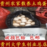 【包邮】贵州农家散养土鸡蛋 20个 土鸡蛋散养土鸡蛋农家散养鸡蛋