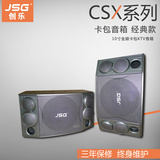 JSG  CSX850 专业音箱舞台演出KTV10寸会议卡包OK音响 PK工程版
