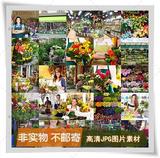 J022-鲜花植物盆栽花店室内装饰设计花匠花束高清JPG摄影图片素材