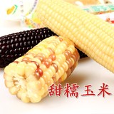 东北苞米 水果玉米黄金苞米花玉米非转基因真空甜懦玉米 粗粮零食