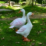 花园别墅园林景观水池装饰户外动物雕塑摆件仿真鸭子工艺品摆件