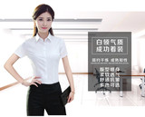 女白领衬衫长短袖加绒立领通勤职业OL韩版修身时尚百搭品牌工作服