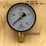 上海天湖Y-100压力表 真空表 水压气压锅炉Y100 0-0.6  1  1.6MPA