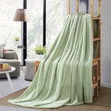 法莱绒网眼菠萝格加厚盖毯毛毯午睡沙发空调毯双人珊瑚绒毯毛巾被