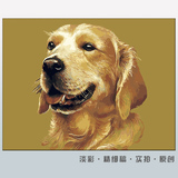 3.0淡彩diy数字油画动物狗 欧式有框40*50手绘卧室客厅装饰画包邮