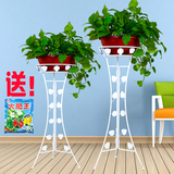 大绿萝盆栽大盆垂吊室内客厅卧室长藤大叶绿萝净化空气吸甲醛植物
