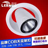 雷尔诺商业照明led嵌入式筒灯cob可调角度象鼻筒灯商场服装店射灯