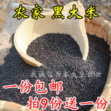 黑米杂粮 农家自产 新大米 黑香米 五谷粗粮 熬粥养生 250g半斤装