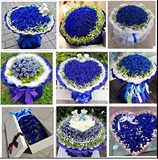 11朵19朵99朵蓝玫瑰花束蓝色妖姬宁波生日鲜花情人节当天订花送花