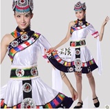 2014新款藏服舞蹈服装 藏族少数民族舞蹈服 瓦达瓦藏族表演女装