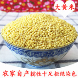 2015年大黄米东北农家自种粘大黄米粽子米五谷杂粮特产黍子米