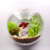 壁挂鱼缸 创意生态亚克力迷你小型挂壁鱼缸 水族箱透明墙壁花盆