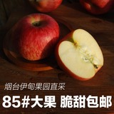 伊甸果园烟台苹果 4.8-5斤包邮85#大果7-9个红富士冰糖心新鲜水果