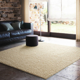 东升地毯现代简约客厅茶几沙发地毯卧室满铺加厚床边毯地垫可定做