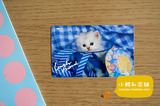 [日本田村卡] 日本电话磁卡 NTT收藏卡  小猫290587
