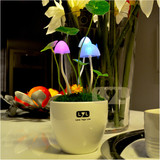 阿凡达蘑菇LED光控感应宝宝喂奶灯 可插电创意盆栽七彩节能小夜灯