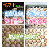 买10送1珍珠鸡蛋/珍珠鸡种蛋/受精蛋/可孵化珍珠鸡种蛋