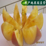 正宗原产地阿克苏冰糖心苹果包邮批售水果苹果新鲜红富士野生