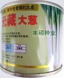 日本元藏大葱种子 耐寒耐热耐旱 抗病高产 约90g 包邮