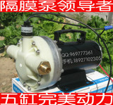 12V48V24V高压打药机农用电动喷雾器园林抽水灌溉5缸高压隔膜水泵