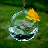 悬挂式透明玻璃花瓶 玻璃吊球 创意水培花器 家居装饰 婚庆道具