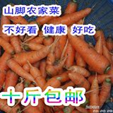 农家自种本地新鲜小胡萝卜/红萝卜 有机肥 非转基因 有机蔬菜500g