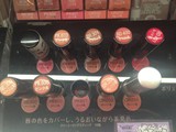 日本代购KOSE VISEE13年新款蕾丝美容液唇膏/口红 10色入预定