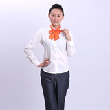 女性职业衬衫中国联通沃厅女性长袖衬衫裤子春秋季套装工作服