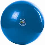 郑多燕瑜伽球 健身球 橘皮纹 美国GOFIT超厚防爆健身球 (PRO55CM)
