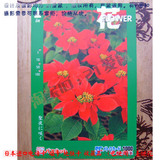 日本进口 电话卡磁卡地铁卡 收藏品 （已使用） 圣诞花