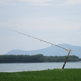 自动钓鱼竿鱼杆弹簧海竿海杆自弹式抛竿发杆高灵敏2.1米2.4米渔具