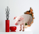 佩格 3D立体墙贴 沙发背景贴 立体厨房背景墙纸 3D小猪 创意礼品