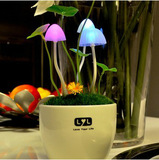厂家直销阿凡达蘑菇灯光控感应插座小夜灯 LYL款新奇特陶瓷版正品