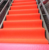 特价可裁剪塑料PVC拉丝地毯地垫门垫 楼梯防滑垫客厅走廊进门垫
