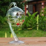 欧式悬挂花瓶 水晶透明玻璃花瓶工艺摆件兰花绿萝盆 吊花瓶水培瓶