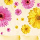 粉黄雏菊贴纸客厅卧室装饰沙发电视背景可移除墙贴花玻璃瓷砖贴画