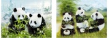 熊猫 PET高清3D画变图 室内装饰画 三维立体画批发 两变