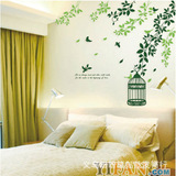 大幅墙贴第三代可移除墙贴 客厅卧室家具装饰贴画 绿藤鸟笼AY968