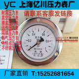上海亿川Y60ZT轴向带边压力表、水压表、气压表、面板式压力表