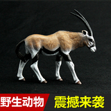 男女孩礼物儿童仿真动物园模型玩具野生动物世界青藏高原西藏羚羊